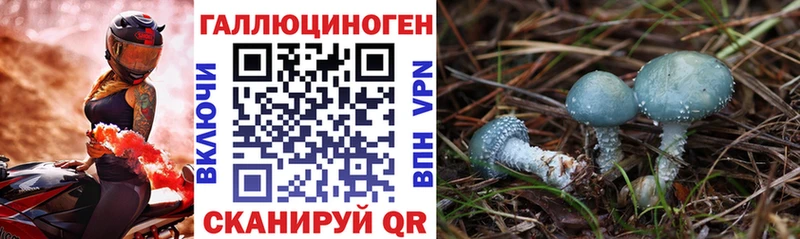 Псилоцибиновые грибы прущие грибы  купить   ссылка на мегу ТОР  Южноуральск 